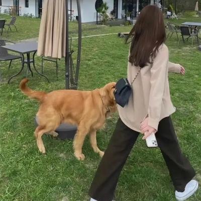 打击惊魂 在线观看